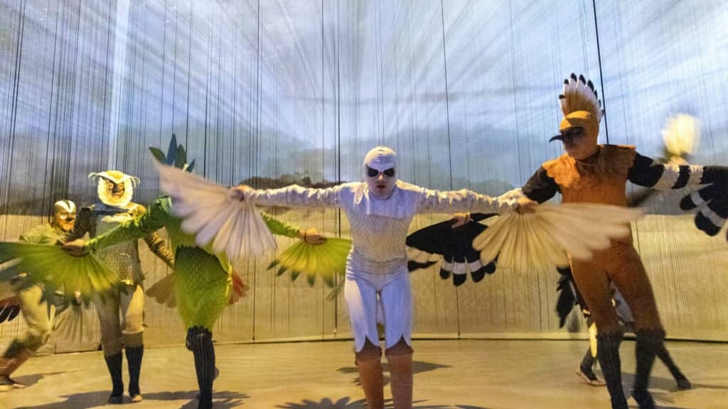Gard : « La Conférence des Oiseaux », un spectacle à découvrir à Alès