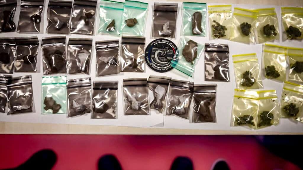Montpellier : saisie de drogue par la police au cœur d’un parc