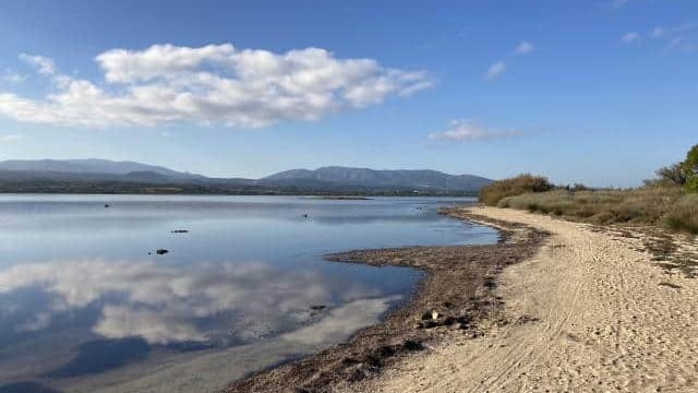 Occitanie : un homme retrouvé mort au bord de l’étang de Leucate