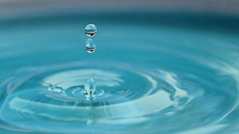 Perpignan : Le festival de l’eau, pour sensibiliser à sa préservation