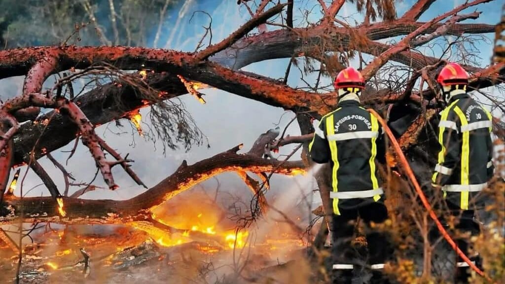 Nîmes : un incendie ravage 1 000m² de végétations basses au centre-ville