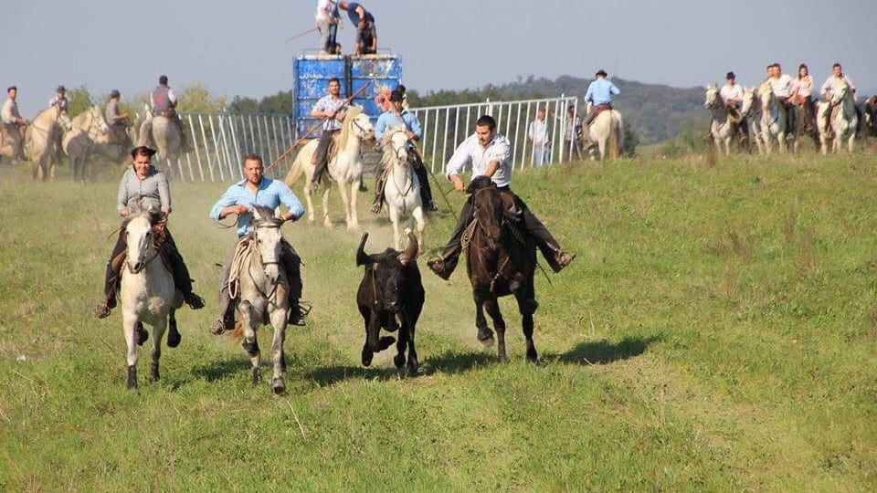 Gard : la fête d’Aigremont, c’est ce week-end ! Découvrez le programme