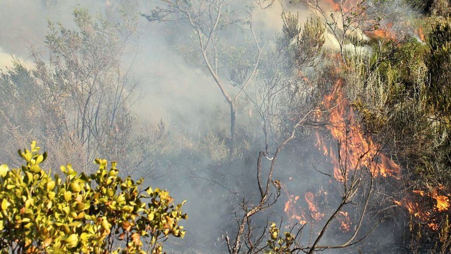Hérault : un incendie à Cabrières consume plusieurs hectares de garrigue