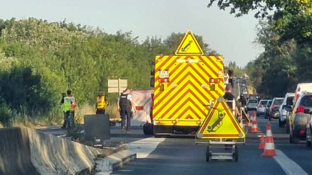 Hérault : accident ce mardi matin, un motard percute un sanglier