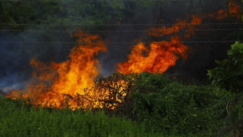 Gard : plusieurs feux de végétation sur la commune de Bellegarde