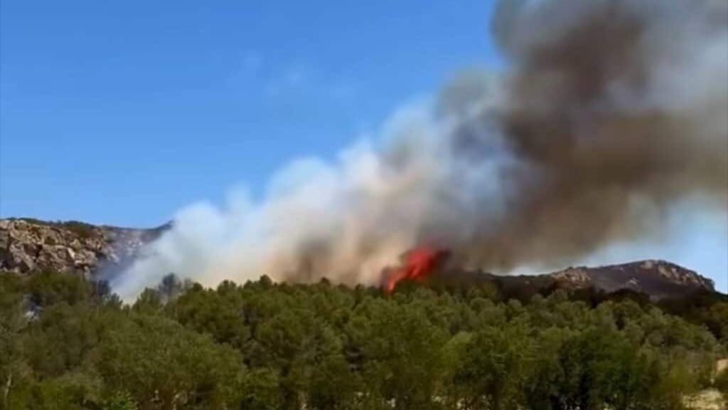 Aude : jusqu’à trois ans de prison pour l’auteur des violents incendies