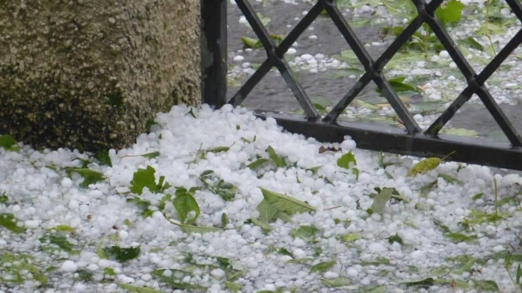 Tarn : 14 communes reconnues en état de catastrophe naturelle après de violents orages