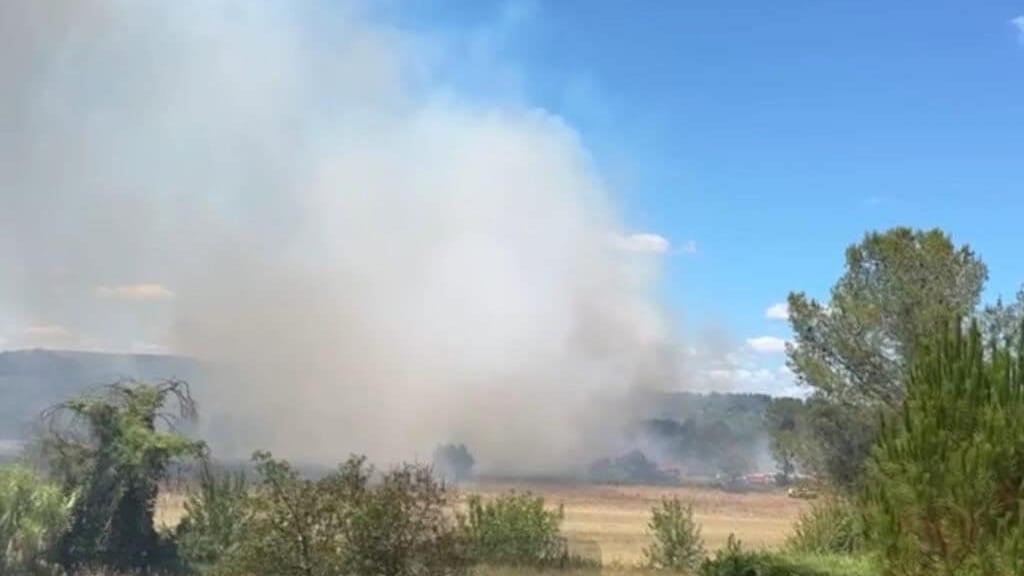 Incendie à l’Ouest de Montpellier : les pompiers mobilisés face aux flammes
