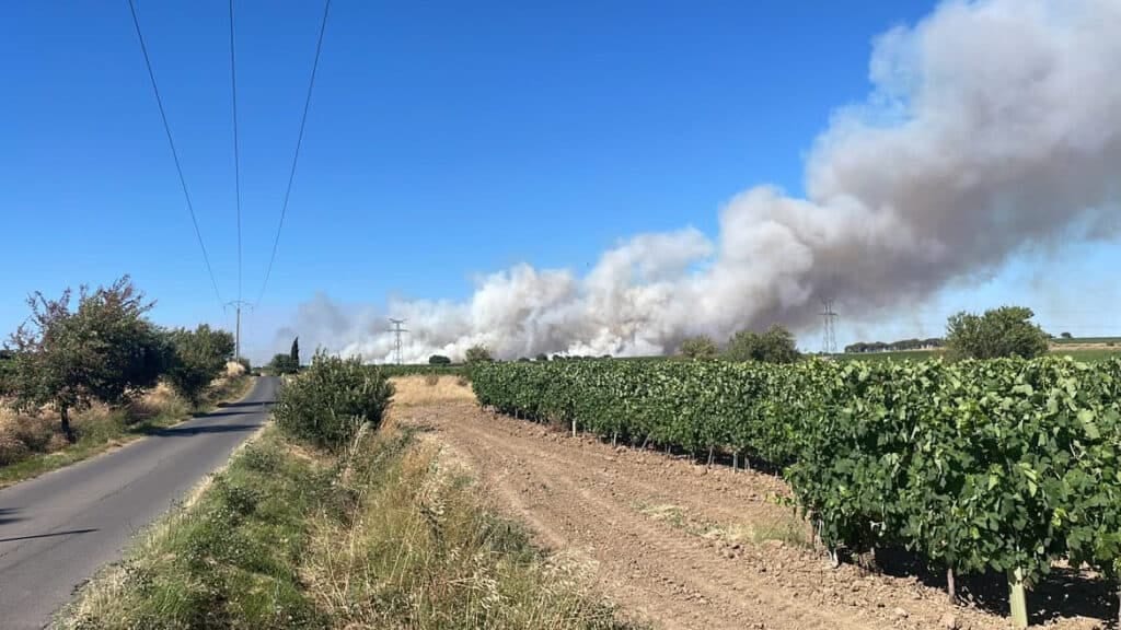 Hérault : l’autoroute A9 coupée suite à un virulent incendie près Pézenas