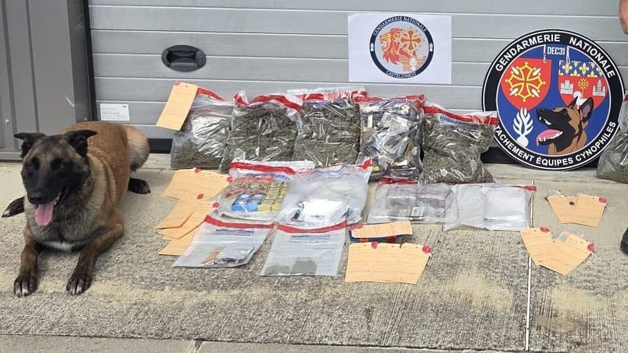 Haute-Garonne : un trafic de drogue démantelé, 13 kg de drogue saisis