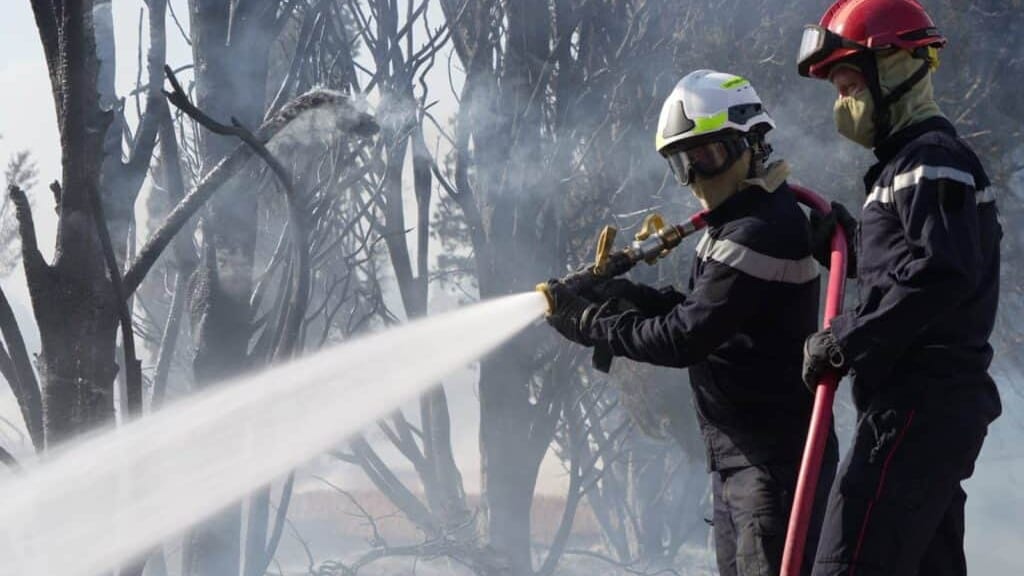 Gard : incendie maîtrisé près de l’aéroport de Nîmes, 2 hectares brûlés