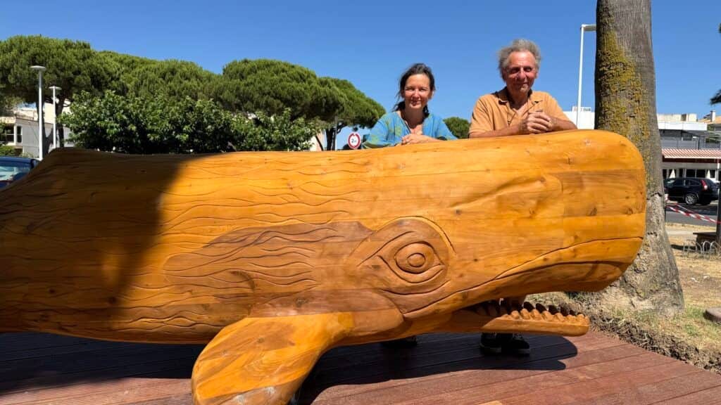 Grau-du-Roi : le Seaquarium accueille un bébé cachalot sculpté