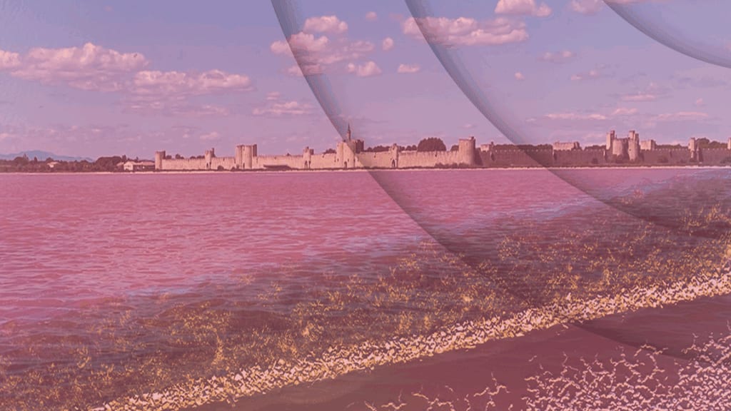 Aigues-Mortes : Évènemen’Sel revient pour une 3e édition entre art et patrimoine