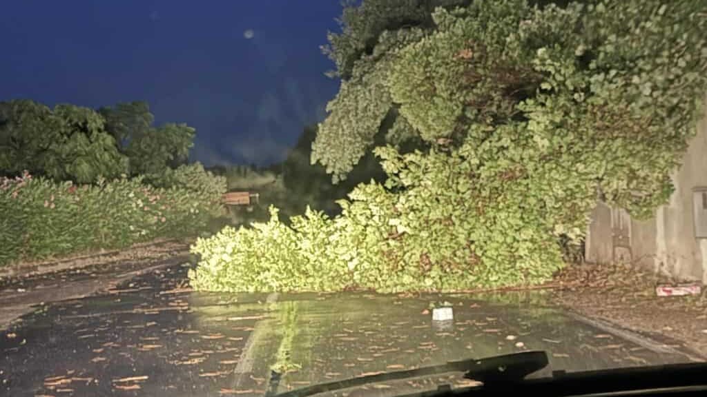 Météo : un violent orage cause des dégâts la nuit dernière en Occitanie