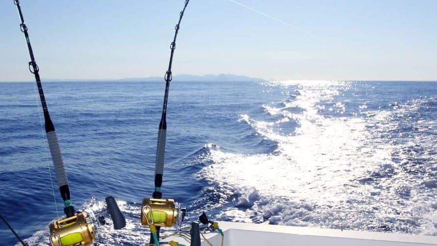 Palavas-les-Flots : le « Grand prix de pêche au gros » revient bientôt