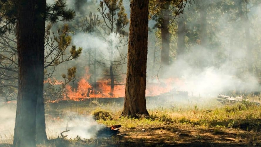 Gard : des zones classées « rouge risque feu de forêt très sévère » ce vendredi
