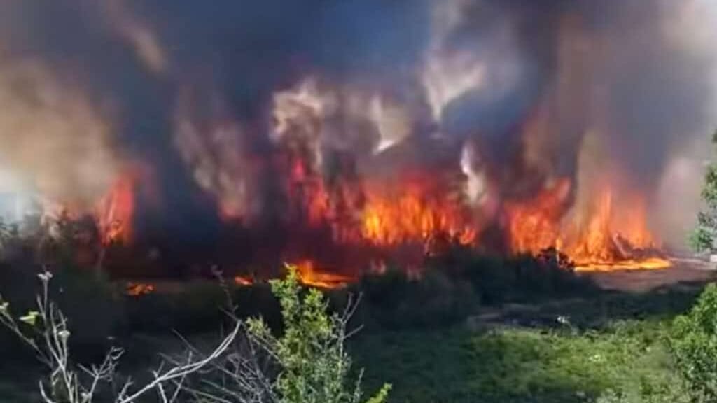 Aude : un virulent incendie ravage plus de 600 hectares