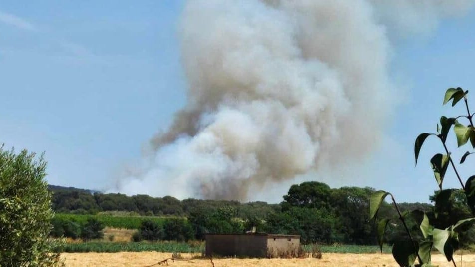 Autoroute A9 : incendie à Fabrègues, la circulation coupée dans les deux sens entre Montpellier et Sète