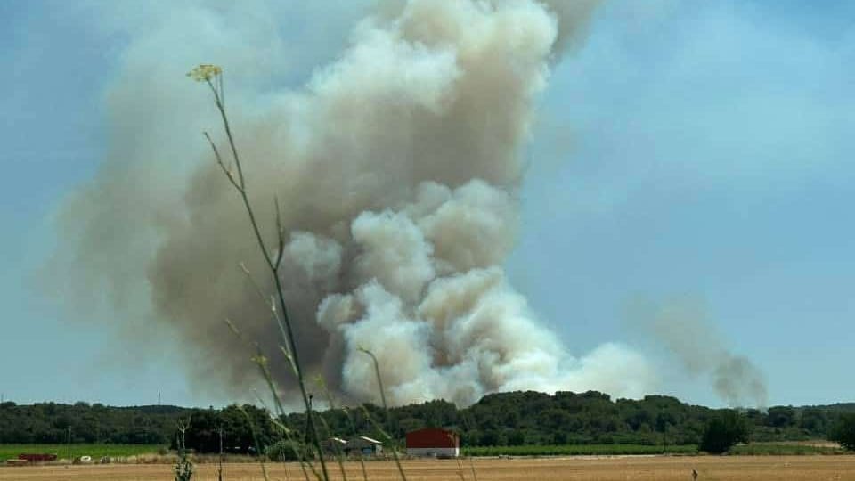 Hérault : plus de 400 hectares détruits par l’incendie toujours en cours