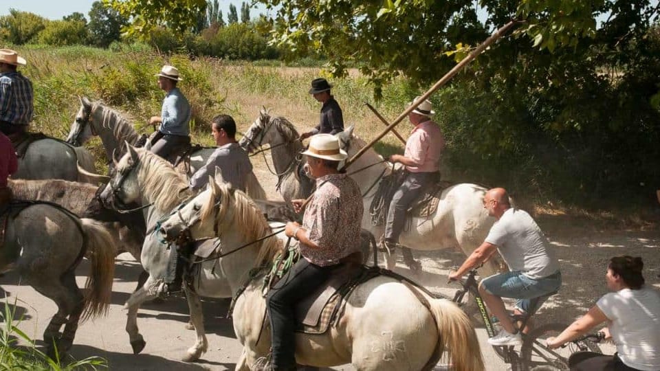 Gard : des chevaux et des gardians brûlés lors d’une fête votive