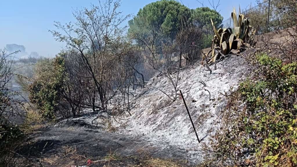 Gard : incendie en cours sur la commune de Domazan
