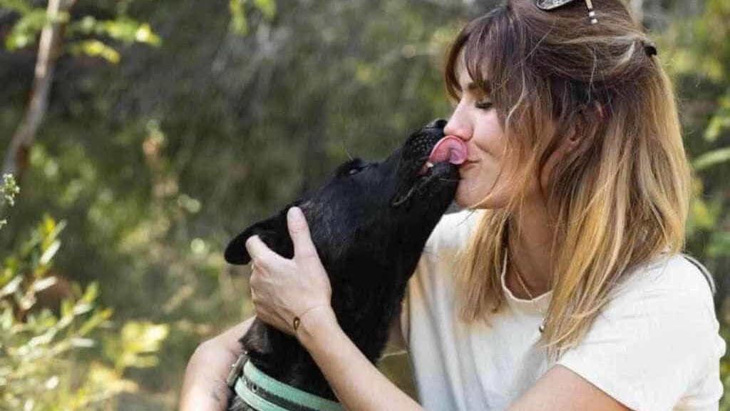 Animaux : la SPA envisage d’euthanasier un chien, Rémi Gaillard intervient