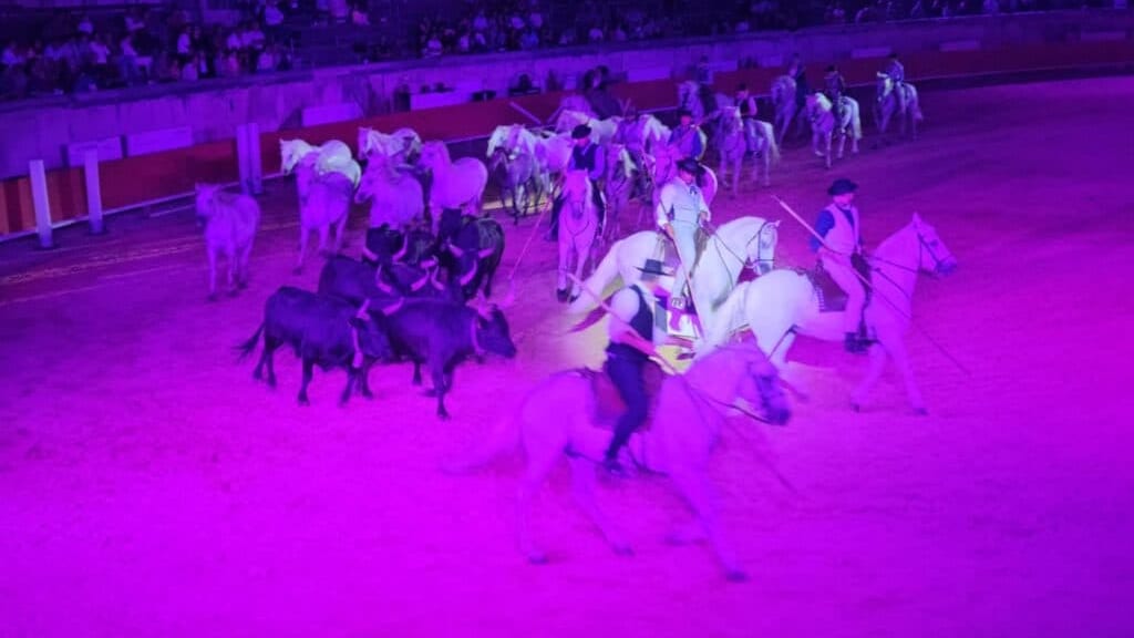 Nîmes : un spectacle équestre grandiose entre poésie camarguaise et voltige extrême