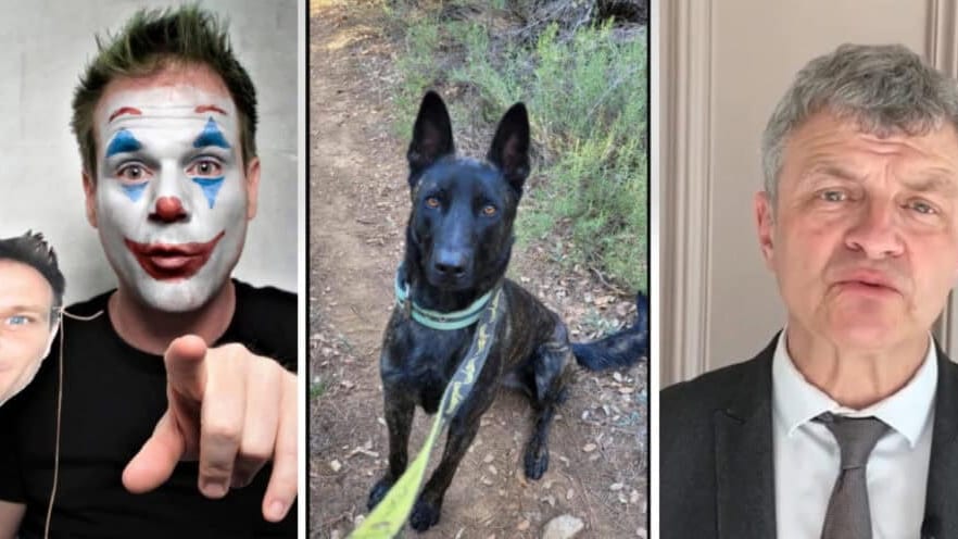 Affaire Smoke : « on euthanasie toujours les animaux, jamais les gros cons », clash entre Rémi Gaillard et le Président de la SPA