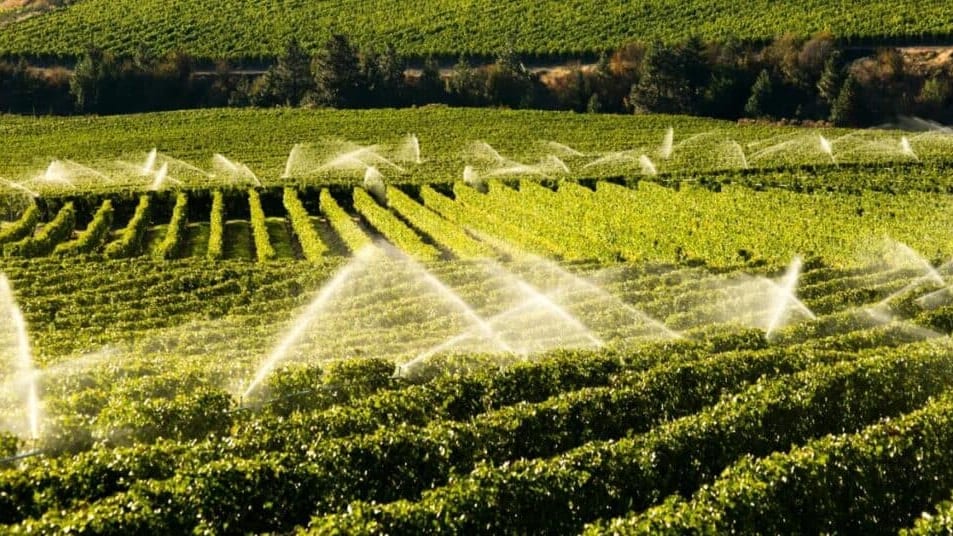 Hérault : un appel à projets pour développer les infrastructures hydrauliques agricoles