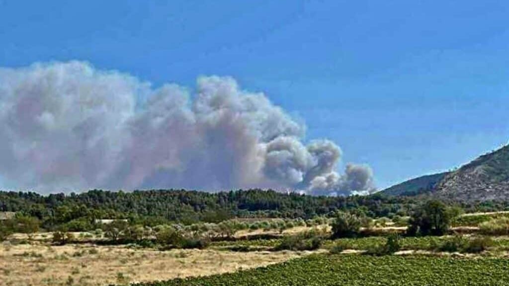Carcassonne : incendie des Corbières, la Ville vote une aide de 17 000€ pour les communes sinistrées