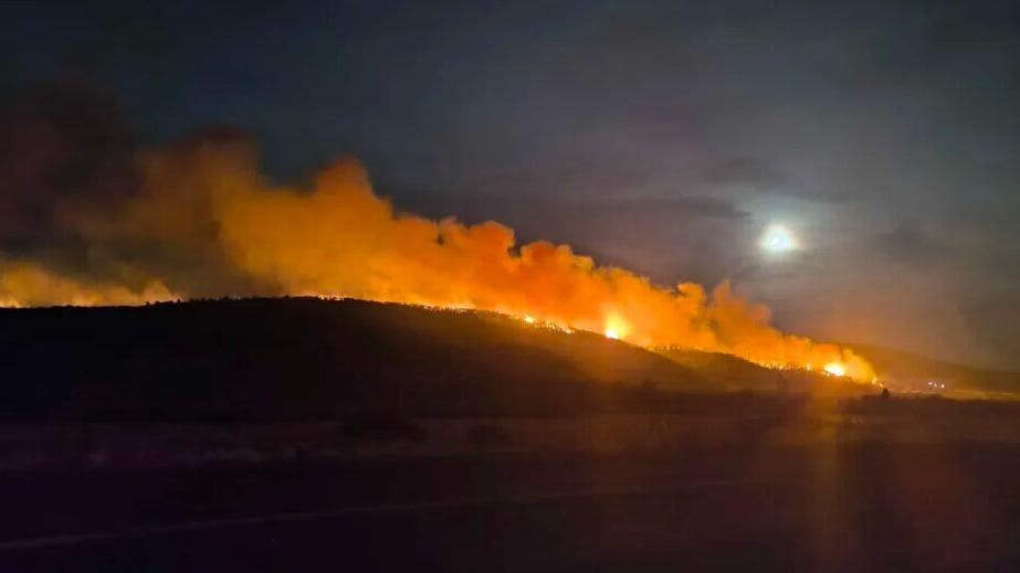 Aude : incendie des Corbières, trois agents de l’ONF placés en garde à vue