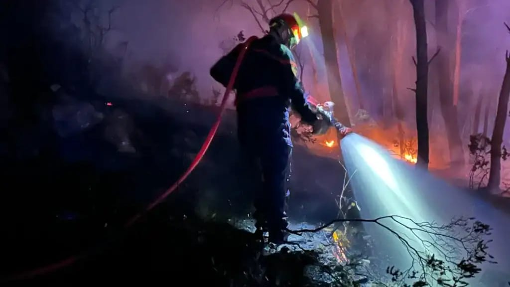 Hérault : incendie de Montagnac, 343 personnes évacuées