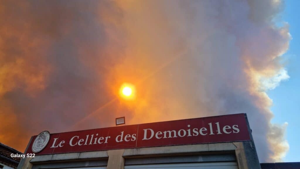 Aude : « un drame se joue dans nos vignes », les viticulteurs en péril