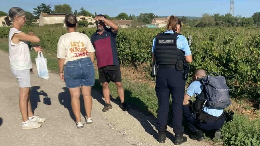 Camargue : du poison dispersé au sol, un chien meurt à Aubord