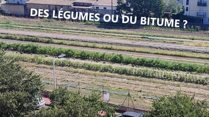 Montpellier : environnement, cette pétition explose les compteurs