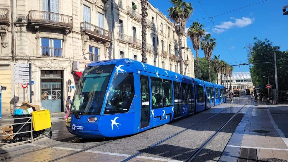 Montpellier : un adolescent agressé en plein jour par quatre mineurs dans le tramway