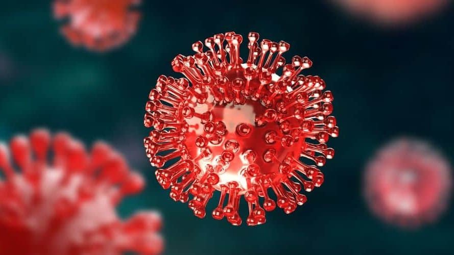 Covid-19 : nouveau variant « Frankenstein », quels risques ?