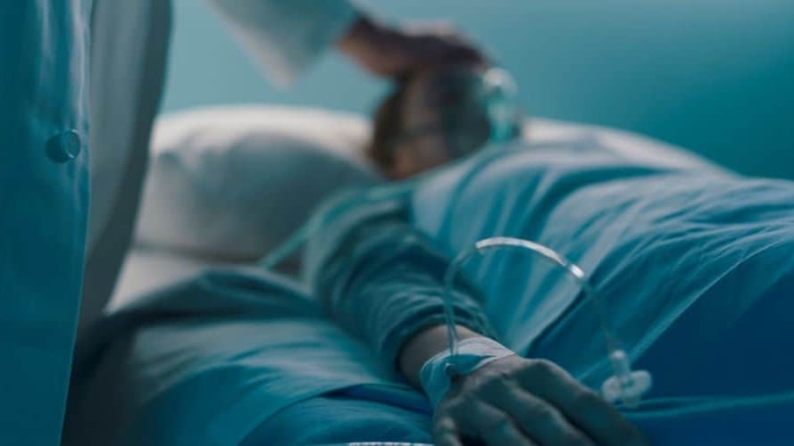 Occitanie : un homme meurt après avoir contracté la rage