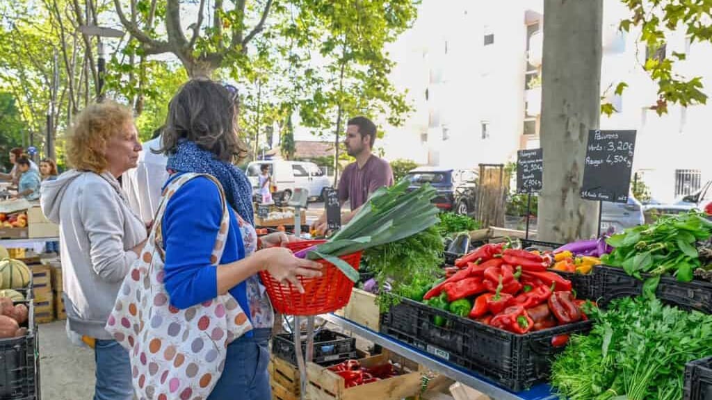 Montpellier : la marché paysan du Millénaire inauguré ce samedi