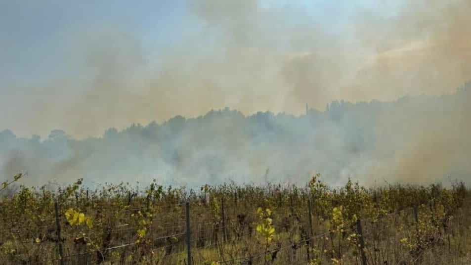 Illustration - Kazaa infos radars, incendie de végétation