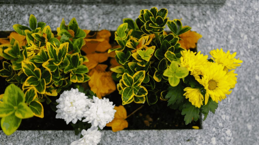 Carcassonne : un marché aux fleurs dans les cimetières municipaux