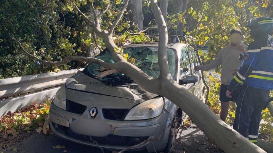 Tempête Benjamin : chutes d’arbres, rafales à plus de 130km/h, pannes, le point sur la situation