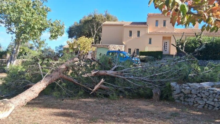 Gard : tempête Benjamin, les sapeurs-pompiers mobilisés pour une quinzaine d’interventions