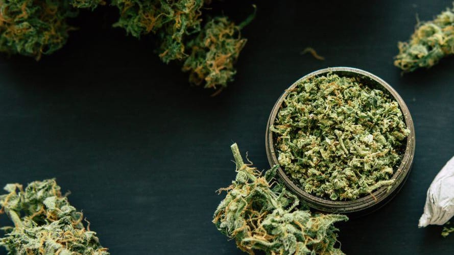 Béziers : un enfant de 5 ans avec du cannabis dans la poche dans une école