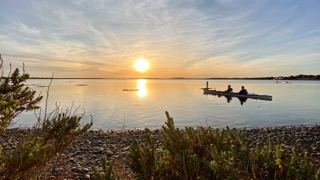 Hérault : les plans d’eau et étangs de Pérols toujours contaminés par des cyanobactéries
