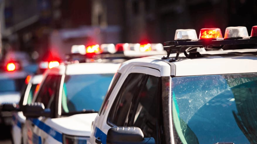 Pyrénées-Orientales : démantèlement d’un trafic de drogue, neuf interpellations