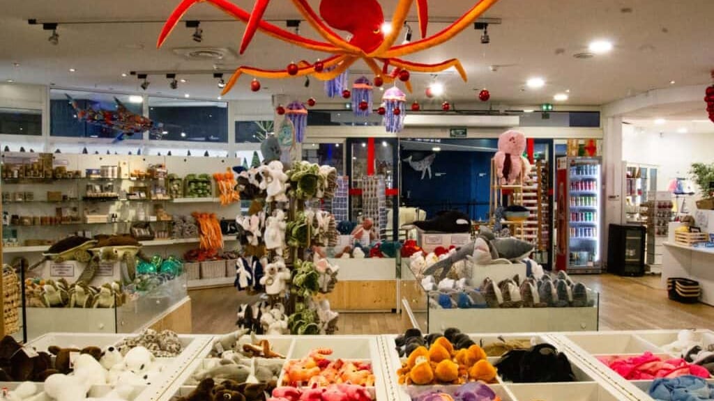 Gard : la magie de Noël s’invite au Seaquarium du Grau-du-Roi