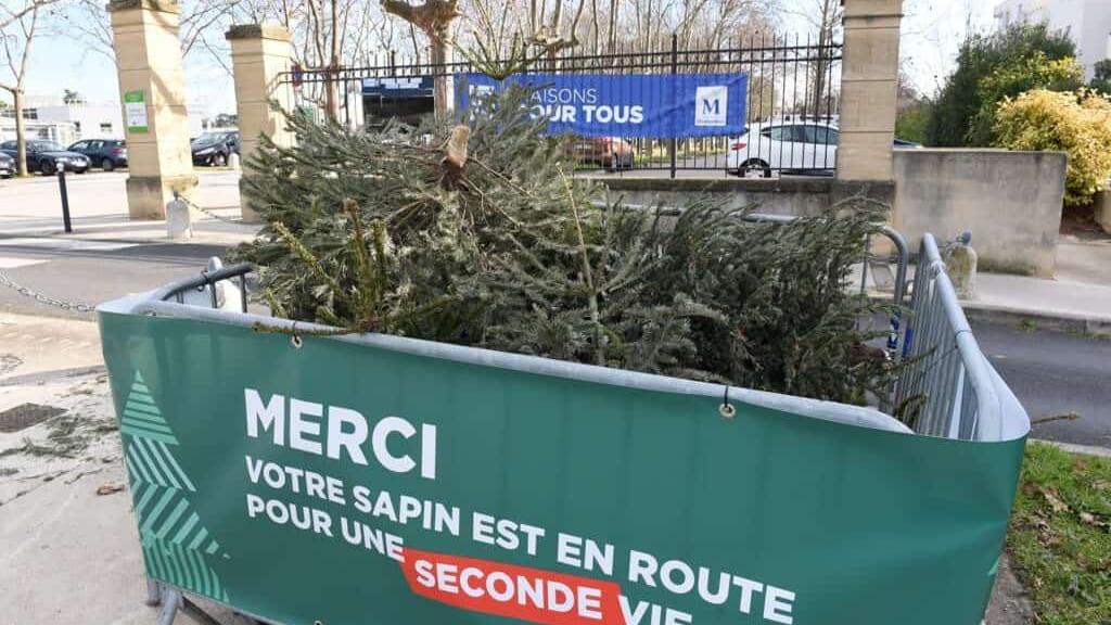 Montpellier Métropole : où jeter son sapin de Noël après les fêtes ?