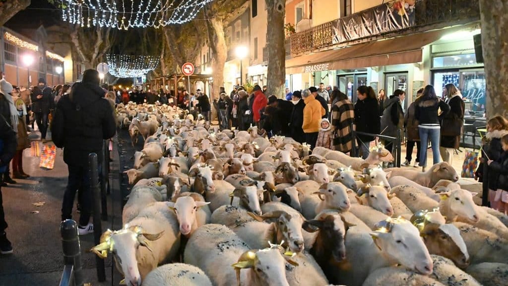 Lunel : la transhumance est reportée au 4 janvier