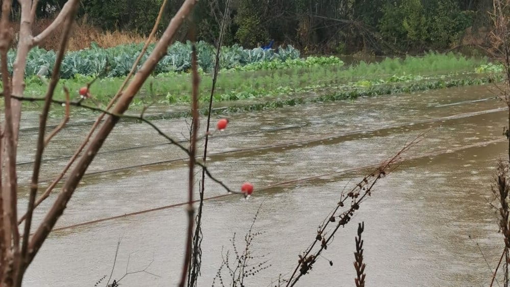 Hérault : inondations, élan de solidarité pour une maraîchère